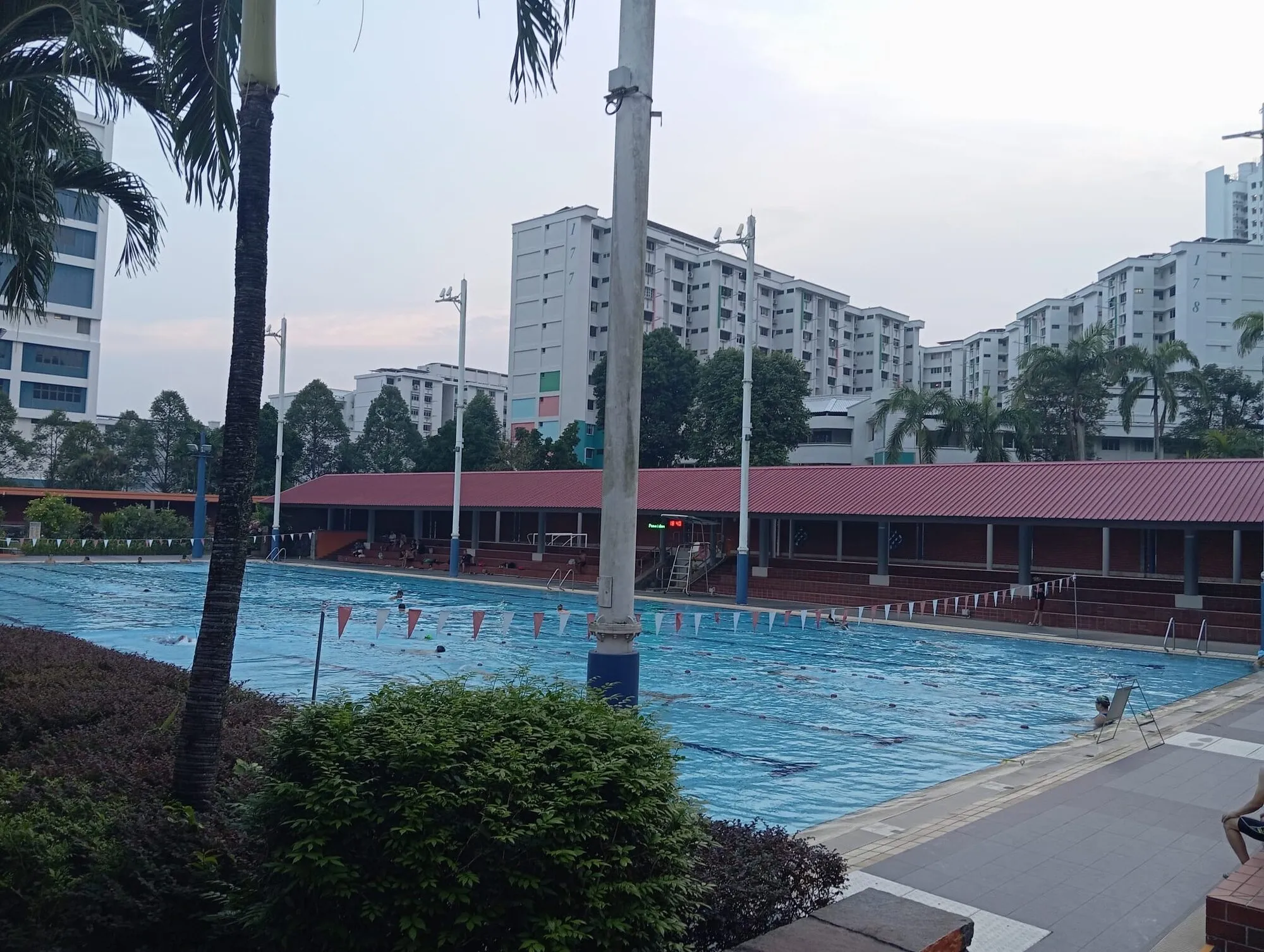 The competition pool seen between palm trees, with HDB blocks behind the red-roofed shelters